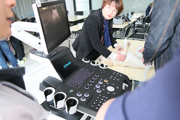 獸用B超機器的使用誤區與正確使用保養