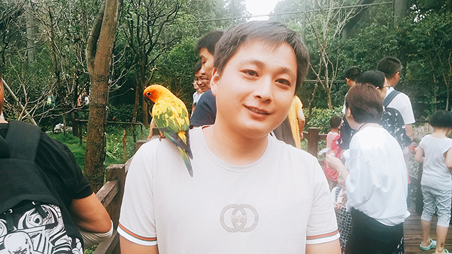 彩超機儀器公司參賽作品